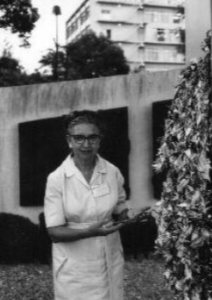 Faye Hurvitz with Paper Cranes in Hiroshima