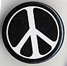 nuclear disarmament lapel button