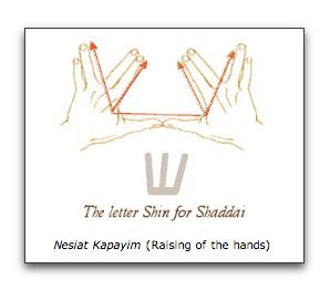 Image result for sign of the Hebrew letter shin (×©) with their fingers while bestowing the blessing.