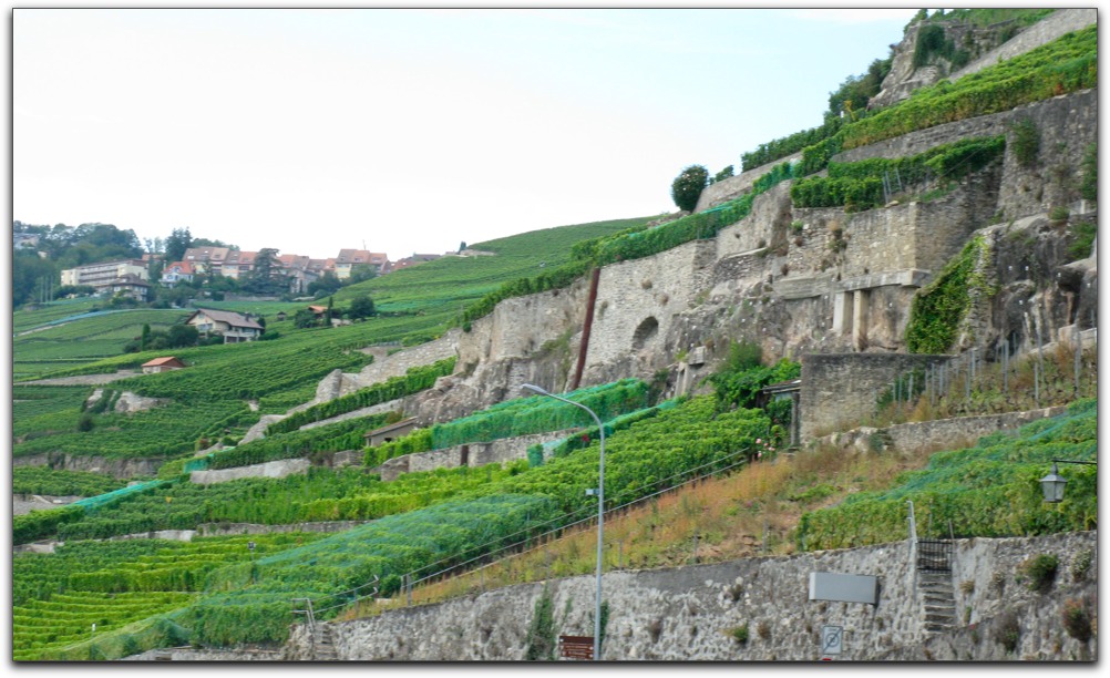 20100913VaudVinyards.jpg