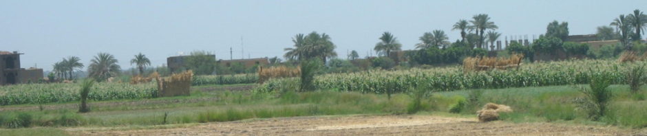 sukkot